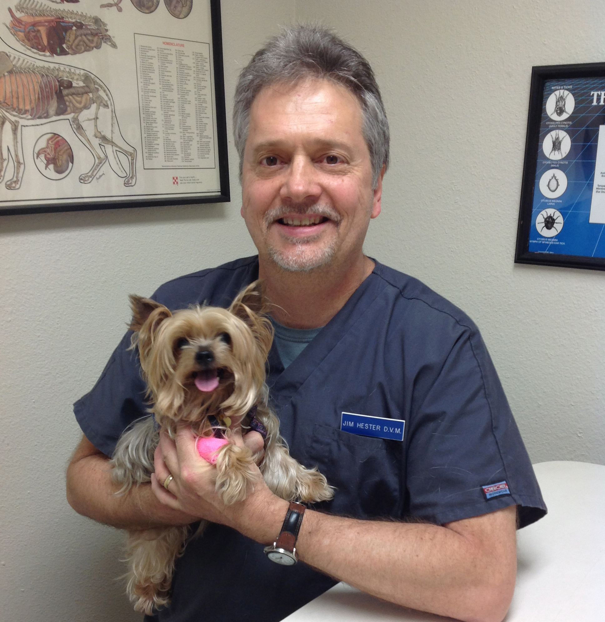 Staff | Veterinarian in Arlington, TX | Arlington North Animal Clinic